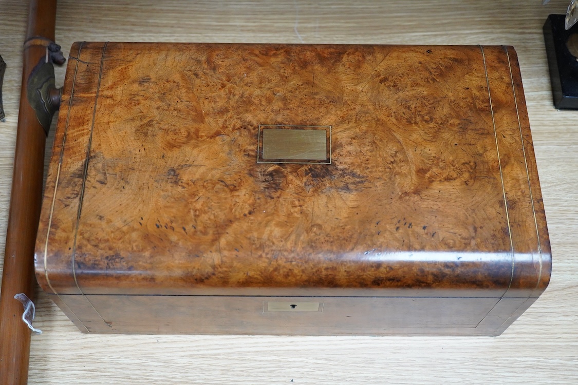 A large Victorian burr walnut writing box with gilt metal mounts and banding, 40cm wide